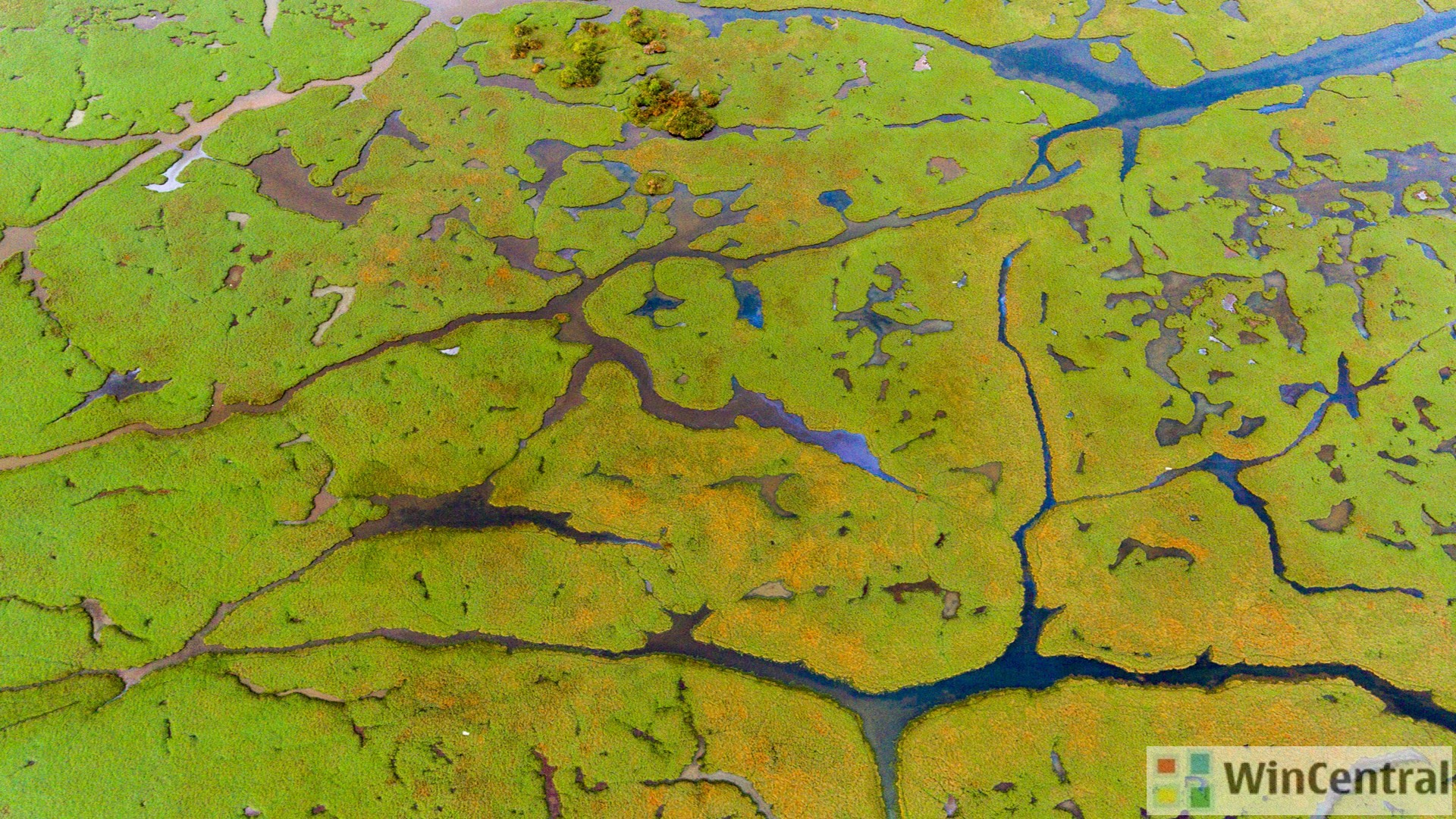 Download A New Theme River Delta Premium Is Now Available In